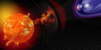 Researchers identify largest ever solar storm in tree rings
