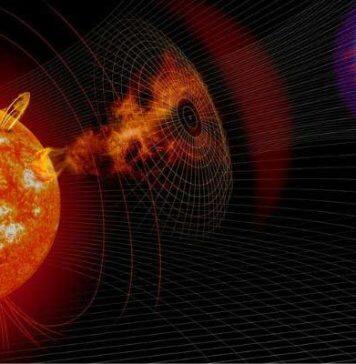Researchers identify largest ever solar storm in tree rings