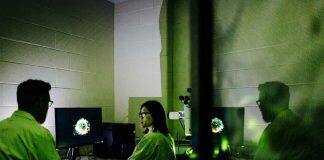 Study uncovers how the gut’s microbiome boosts immune system development