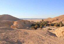 Early human migrants followed lush corridor route out of Africa