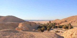 Early human migrants followed lush corridor route out of Africa