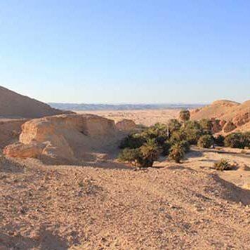 Early human migrants followed lush corridor route out of Africa