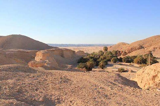 Early human migrants followed lush corridor route out of Africa