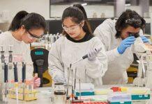 UNSW recognised for gender equity in STEMM