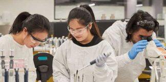 UNSW recognised for gender equity in STEMM