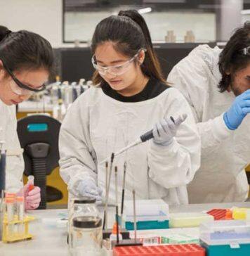 UNSW recognised for gender equity in STEMM