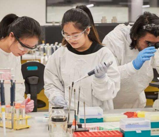 UNSW recognised for gender equity in STEMM