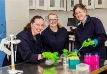 Pioneering endometriosis study awarded Marsden funding