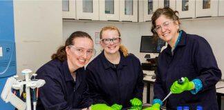 Pioneering endometriosis study awarded Marsden funding