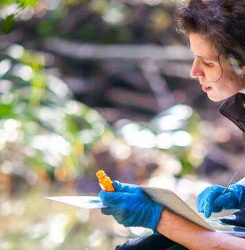 UCalgary Mobilizing Alberta Climate Action Grant program launches new funding round