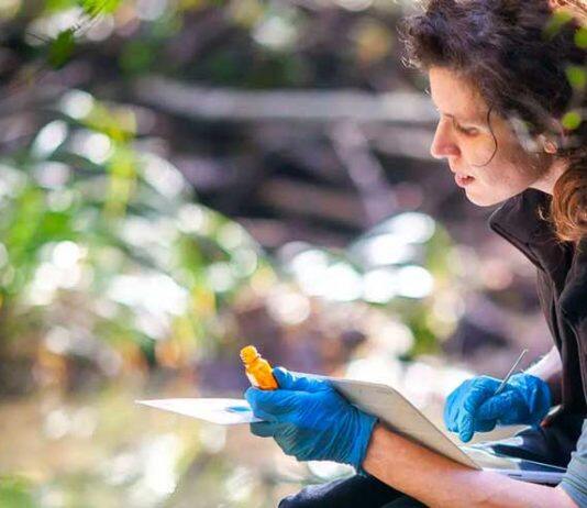 UCalgary Mobilizing Alberta Climate Action Grant program launches new funding round