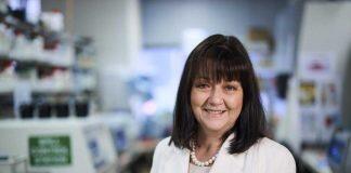 University of Adelaide experts awarded top honours