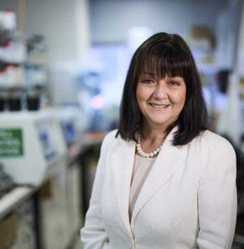 University of Adelaide experts awarded top honours