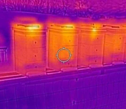 Research challenges beliefs on honeybee insulation