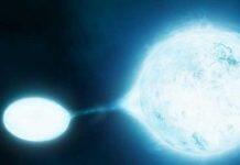 New insight into stellar evolution