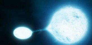 New insight into stellar evolution
