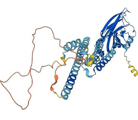 Researchers use powerful AI tool to gain new insights into protein structures
