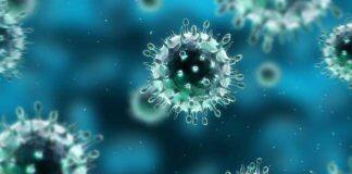 Why our bodies fight flu better than cancer