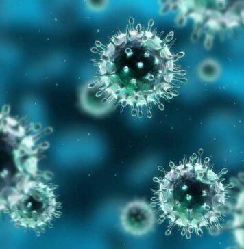 Why our bodies fight flu better than cancer