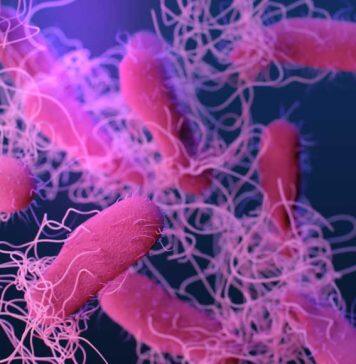 Expert Brian Coombes on what you need to know about Salmonella