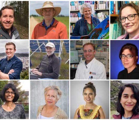 University of Waikato researchers receive record-level Marsden funding to explore bold ideas for the future