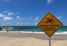 Study shows beach signage education could save lives this summer