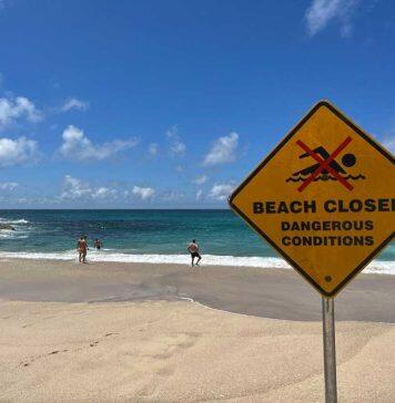 Study shows beach signage education could save lives this summer
