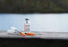 Novel wool-derived protein a potential key to improving type-2 diabetes management