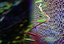 Novel AI-based approach for more accurate RNA 3D structure prediction