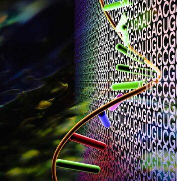 Novel AI-based approach for more accurate RNA 3D structure prediction