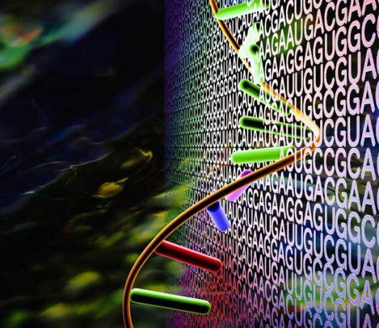 Novel AI-based approach for more accurate RNA 3D structure prediction