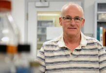 New award honours global work of prof through Western Heads East