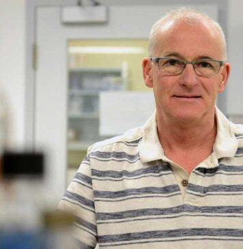 New award honours global work of prof through Western Heads East