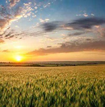 Net zero emissions from Australian agriculture: a challenge and opportunity