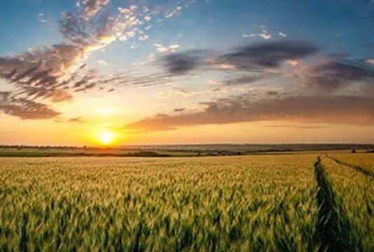 Net zero emissions from Australian agriculture: a challenge and opportunity