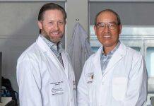 Viral success: McMaster researchers discover new way to protect against infections like COVID-19