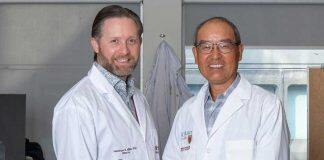 Viral success: McMaster researchers discover new way to protect against infections like COVID-19