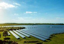 Skills bottleneck threatens NZ shift to renewables