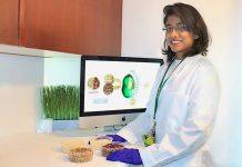 Research is making faba beans a better source of protein