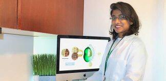 Research is making faba beans a better source of protein