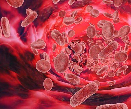 UWA study offers free iron deficiency screenings for women in Karrinyup