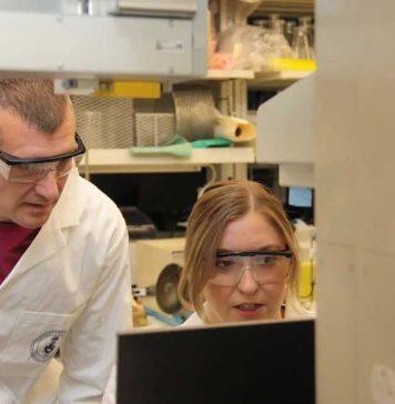 Liver can generate palmitic acid to maintain brain health, study suggests