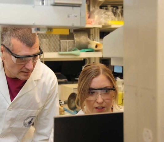 Liver can generate palmitic acid to maintain brain health, study suggests