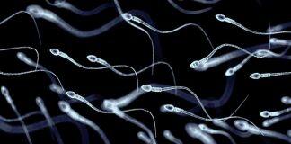 Male infertility is more common than you may think. Here are five ways to protect your sperm