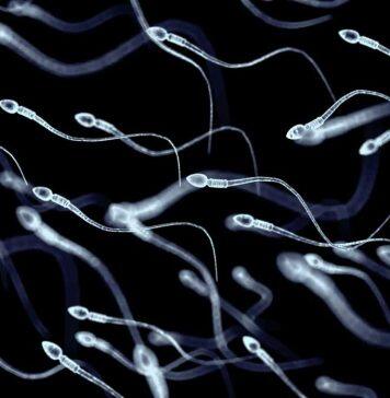 Male infertility is more common than you may think. Here are five ways to protect your sperm