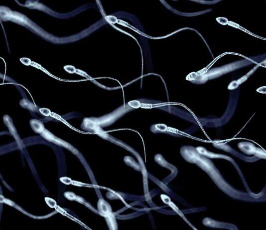 Male infertility is more common than you may think. Here are five ways to protect your sperm