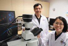 Upcycling fish scales for water pollution control and encryption