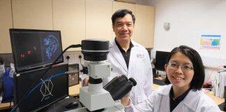 Upcycling fish scales for water pollution control and encryption