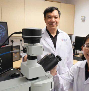 Upcycling fish scales for water pollution control and encryption