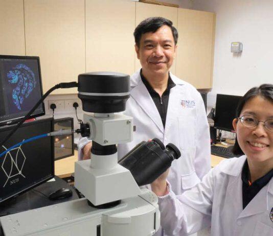 Upcycling fish scales for water pollution control and encryption